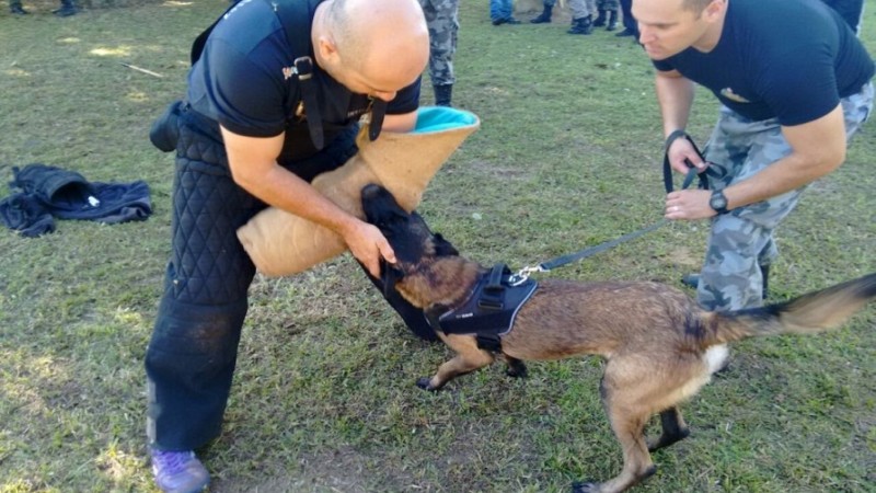 O objetivo foi instruir e padronizar o efetivo para a utilização de cães de proteção e guarda na atividade policial.