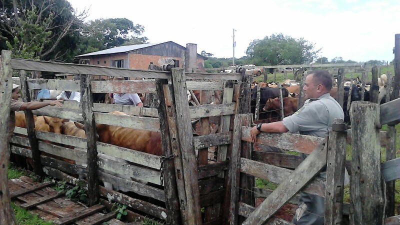 Operação integra a Estratégia Estadual de Segurança Pública de Fronteira.