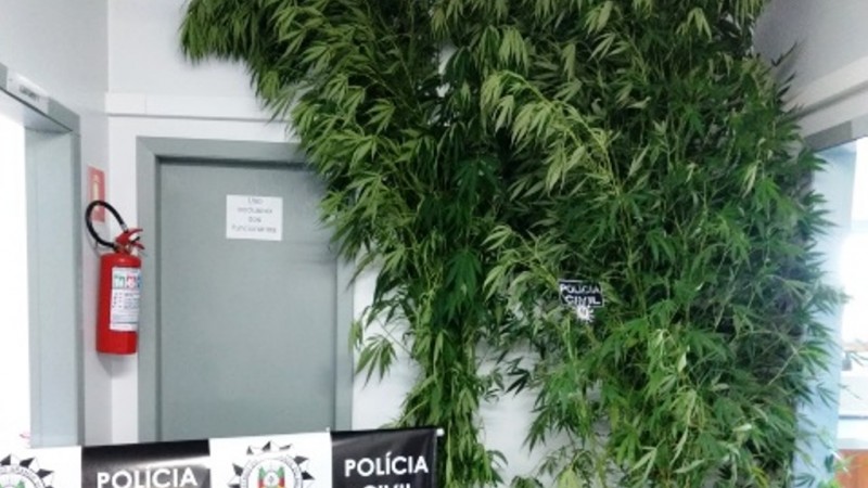 Um homem de 41 anos foi preso em flagrante pelo delito de tr&aacute;fico de drogas. 