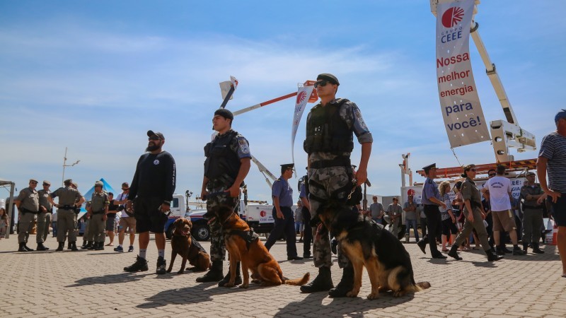Operação Golfinho, voltada ao reforço do policiamento, integra a Verão para Todos