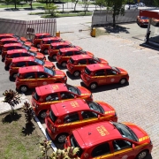 15 viaturas vermelhas com uma faixa amarela nas laterais e a inscrição CBMRS e um número no teto dos veículos dispostos lado a lado em um pátio de estacionamento