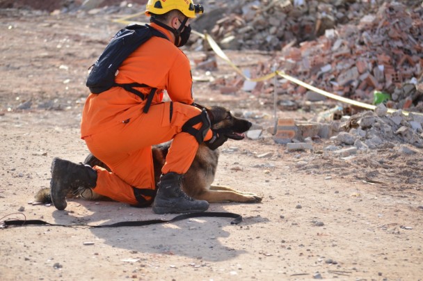 Cachorro deitado enquanto um bombeiro está ajoelhado segurando o animal pela coleira.