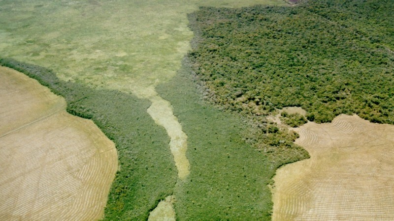imagem aérea de área de proteção ambiental do Rio Grande do Sul