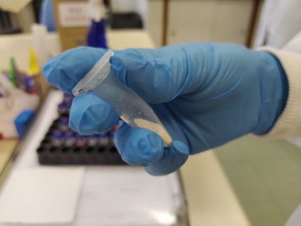 Mão coberta por uma luva azul segura um tubo que contém em seu interior uma porção de pó branco.
