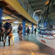Policial militar conduz um cão farejador diante de um ônibus estacionado na plataforma da rodoviária da CAPITAL. Ao fundo, outro PM e pessoas civis caminham pela plataforma.