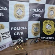 A foto mostra armas e munições