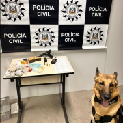 Cão farejador e apreensões da operação policial