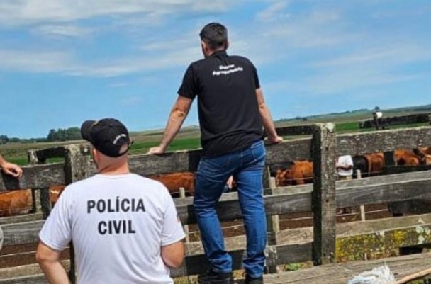 dois homens observam o gado na mangueira