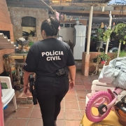Uma policial civil realiza busca no quintal de uma casa.