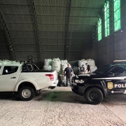 Interior de um galp&atilde;o. No fundo, grandes sacos brancos empilhados. Em primeiro plano, dois ve&iacute;culos: uma caminhonete branca com faixa amarela escrita &ldquo;MAPA &ndash; Minist&eacute;rio da Agricultura, Pecu&aacute;ria e Abastecimento &ndash; Uso exclusivo em servi&ccedil;o&rdquo; e uma viatura preta da Pol&iacute;cia Civil com logotipo e endere&ccedil;o de redes sociais. Algumas pessoas em uniforme est&atilde;o pr&oacute;ximas aos sacos, realizando inspe&ccedil;&atilde;o.