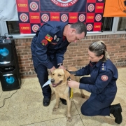 Na imagem, c&atilde;o de buscas recebe certificado